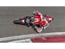 2019 Ducati Monster 1200 for sale 201297022