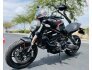 2019 Ducati Monster 821 for sale 201295136