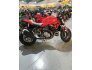 2019 Ducati Monster 821 for sale 201311643