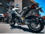2019 Ducati Multistrada 1260 for sale 201275699