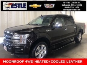 2019 Ford F150 for sale 101795026