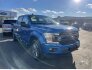 2019 Ford F150 for sale 101823883