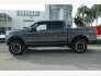 2019 Ford F150 for sale 101828424