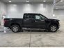 2019 Ford F150 for sale 101829714