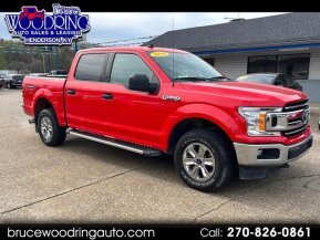 2019 Ford F150 for sale 101873655