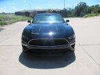 Thumbnail Photo 1 for 2019 Ford Mustang