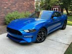 Thumbnail Photo 4 for 2019 Ford Mustang GT Coupe