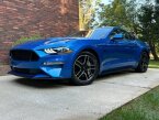 Thumbnail Photo 1 for 2019 Ford Mustang GT Coupe