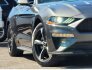 2019 Ford Mustang for sale 101793811