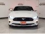 2019 Ford Mustang for sale 101803371