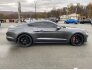 2019 Ford Mustang GT for sale 101803688