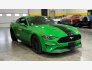 2019 Ford Mustang Coupe for sale 101814501