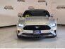 2019 Ford Mustang GT Premium for sale 101824741