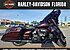2019 Harley-Davidson CVO Street Glide for sale 200697320