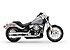 2019 Harley-Davidson Softail for sale 200623608