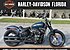 2019 Harley-Davidson Softail for sale 200655955