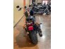 2019 Harley-Davidson Softail Low Rider for sale 201110242