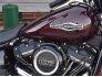 2019 Harley-Davidson Softail for sale 201185389