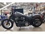 2019 Harley-Davidson Softail Street Bob for sale 201192694