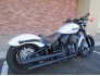 2019 Harley-Davidson Softail for sale 201211413