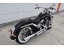 2019 Harley-Davidson Softail Deluxe for sale 201218513