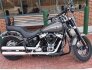 2019 Harley-Davidson Softail for sale 201220158