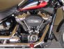 2019 Harley-Davidson Softail Low Rider for sale 201224627
