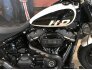 2019 Harley-Davidson Softail Fat Bob 114 for sale 201227944