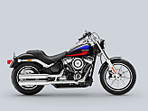 2019 Harley-Davidson Softail Low Rider for sale 201626635