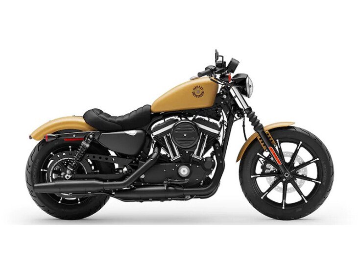 2019 Harley-Davidson Sportster Iron 883 specifications