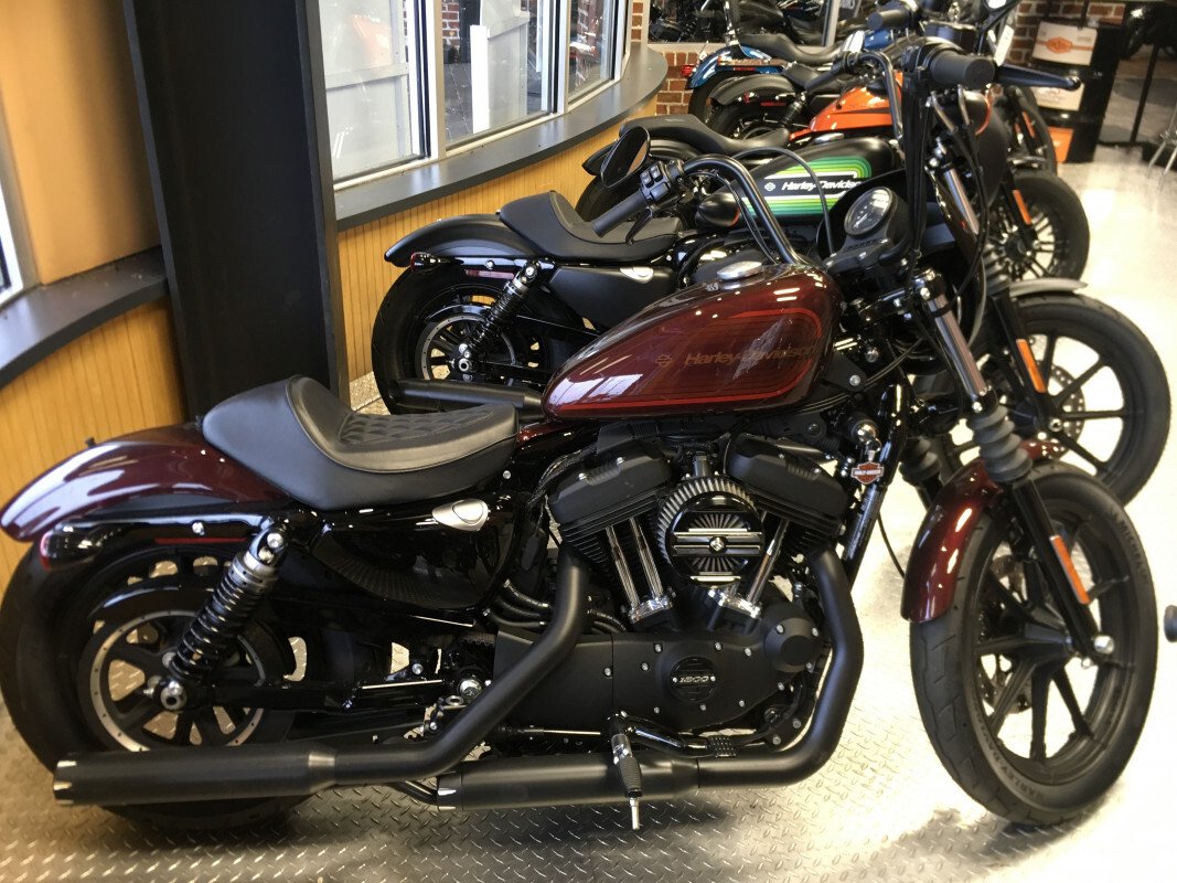 2019 harley iron 1200 for sale