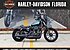 2019 Harley-Davidson Sportster Iron 1200 for sale 200756204
