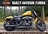 2019 Harley-Davidson Sportster Iron 883 for sale 200756322