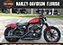2019 Harley-Davidson Sportster Iron 883 for sale 200768979