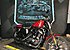 2019 Harley-Davidson Sportster Iron 883 for sale 200789618