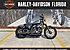2019 Harley-Davidson Sportster Iron 883 for sale 200795006