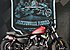 2019 Harley-Davidson Sportster Forty-Eight for sale 200868767