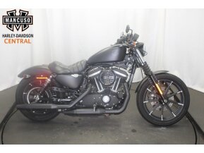 2019 Harley-Davidson Sportster Iron 883 for sale 201000429