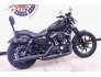 2019 Harley-Davidson Sportster Iron 883 for sale 201083660