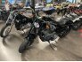 2019 Harley-Davidson Sportster Roadster for sale 201116849
