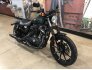 2019 Harley-Davidson Sportster Iron 883 for sale 201148807