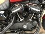 2019 Harley-Davidson Sportster Iron 883 for sale 201161116