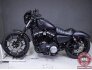 2019 Harley-Davidson Sportster Iron 883 for sale 201165206