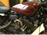2019 Harley-Davidson Sportster Iron 1200 for sale 201167916