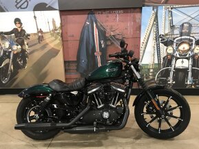 2019 Harley-Davidson Sportster Iron 883 for sale 201191347