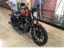 2019 Harley-Davidson Sportster Iron 883 for sale 201191402