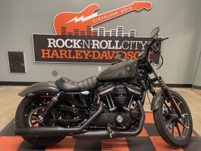 2019 Harley-Davidson Sportster Iron 883 for sale 201191418