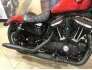 2019 Harley-Davidson Sportster Iron 883 for sale 201195307