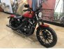2019 Harley-Davidson Sportster Iron 883 for sale 201195421