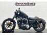 2019 Harley-Davidson Sportster Iron 883 for sale 201206958